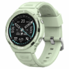 5908235977973 FW100MINT MAXCOM WATCH FW100 TITAN VALKIRIA MENTA.