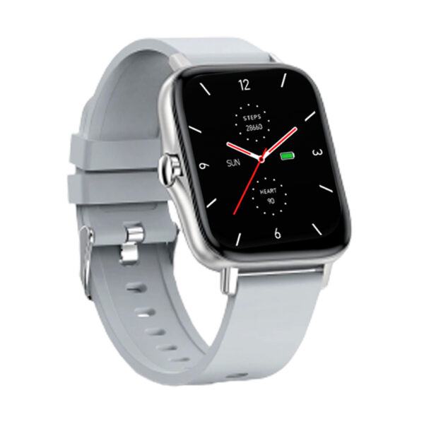 5908235977126 FW55-SILVER MAXCOM SMART BAND FW55 SILVER